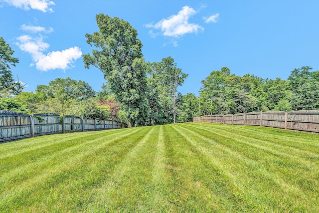 6131 Carolina Trl, Roanoke, VA 24019 - view of yard