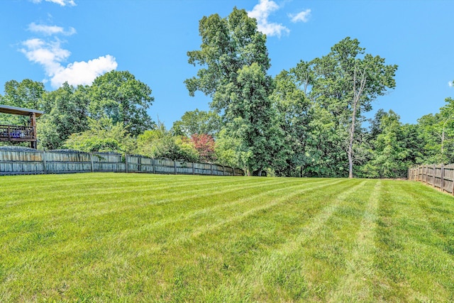 6131 Carolina Trl, Roanoke, VA 24019 - view of yard