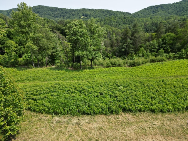 LOT32 River Rock Rd, Vinton, VA 24179