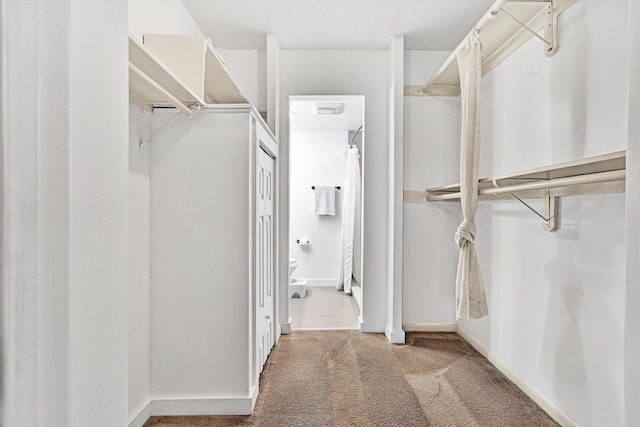5260 Crossbow Cir Unit 9E, Roanoke, VA 24018 - walk in closet with carpet flooring