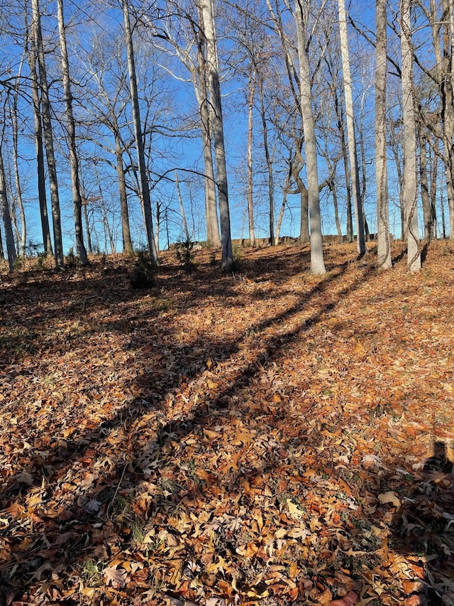 LOT49 Lake View Pt, Glade Hill, VA 24092
