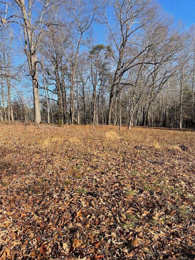 LOT49 Lake View Pt, Glade Hill, VA 24092