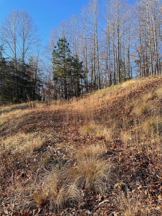 LOT49 Lake View Pt, Glade Hill, VA 24092