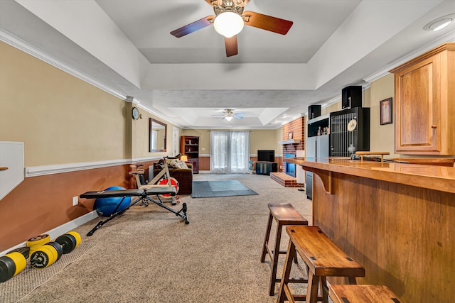 6355 Juliet Ct, Roanoke, VA 24018 - workout area featuring a tray ceiling, a ceiling fan, carpet, and baseboards