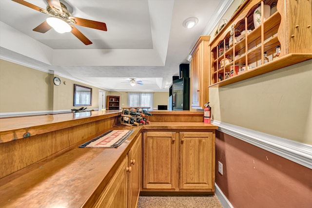 6355 Juliet Ct, Roanoke, VA 24018 - bar featuring a raised ceiling and ceiling fan