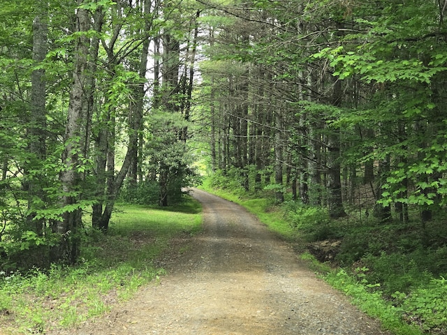 6733 Floyd Hwy S, Willis, VA 24380 - view of street featuring a wooded view