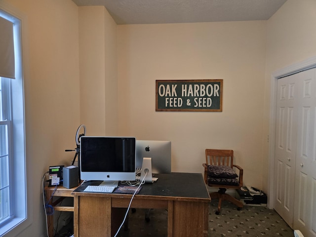 6733 Floyd Hwy S, Willis, VA 24380 - view of carpeted home office