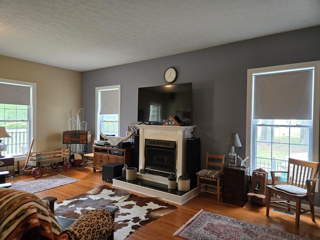 6733 Floyd Hwy S, Willis, VA 24380 - living area with a fireplace with raised hearth, plenty of natural light, wood finished floors, and a textured ceiling