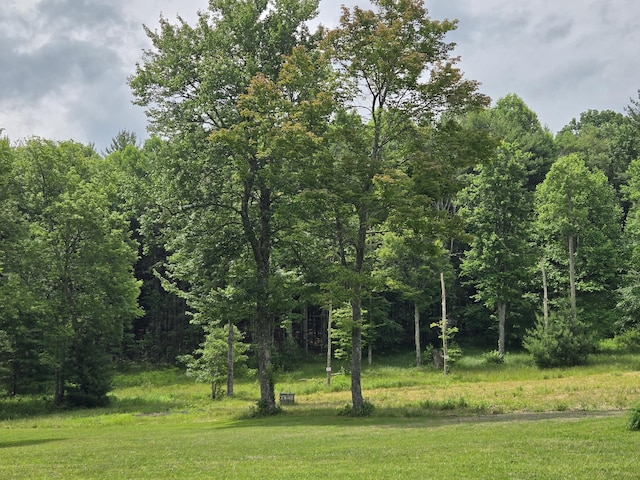 6733 Floyd Hwy S, Willis, VA 24380 - view of wooded area
