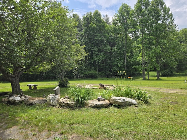 6733 Floyd Hwy S, Willis, VA 24380 - view of grassy yard