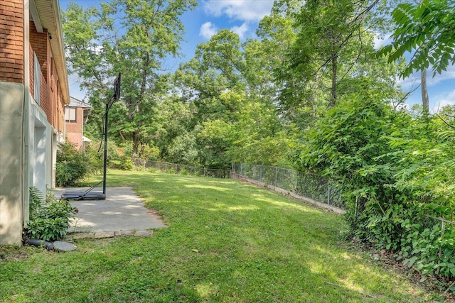 3271 Rasmont Rd, Roanoke, VA 24018 - view of yard featuring a patio