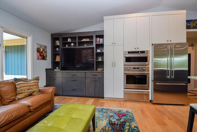 569 Sprinkle Rd, Fincastle, VA 24090 - living room featuring lofted ceiling, light wood-style floors, and healthy amount of natural light