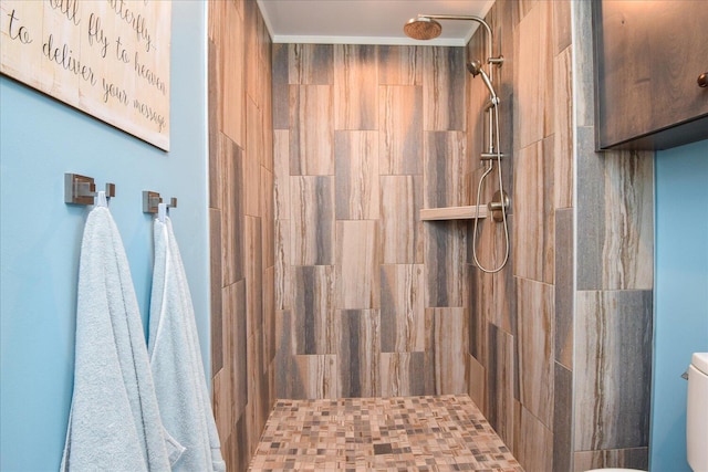 569 Sprinkle Rd, Fincastle, VA 24090 - full bath with tiled shower and toilet