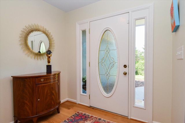 569 Sprinkle Rd, Fincastle, VA 24090 - entrance foyer with light wood-style floors and baseboards