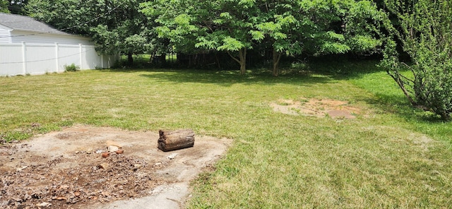 5433 Flagler Dr, Roanoke, VA 24019 - view of yard
