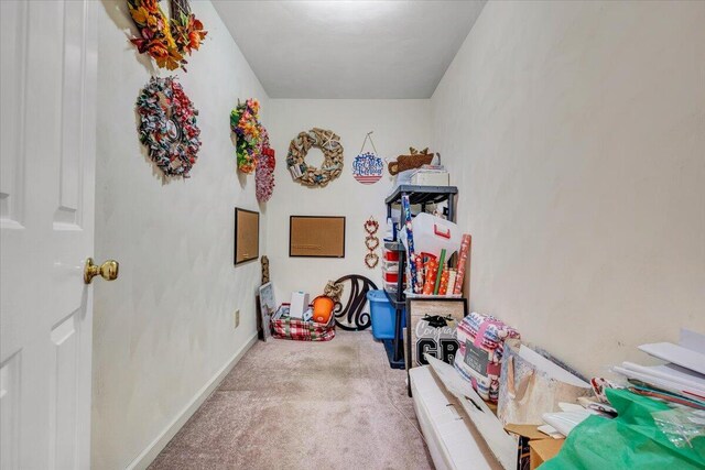 201 Jay Ridge Rd, Cloverdale, VA 24077 - view of storage area