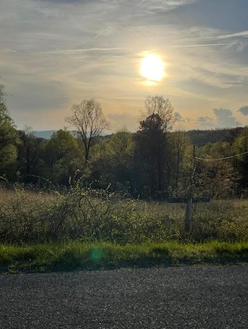 0 Wooldridge Rd, Blue Ridge, VA 24064