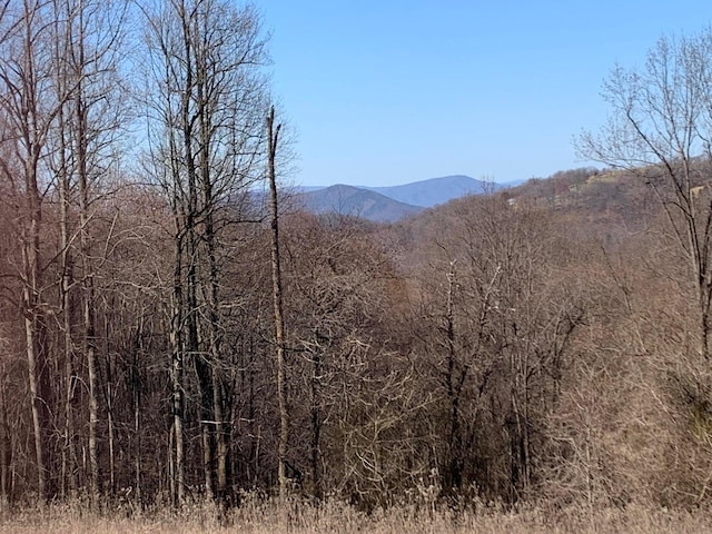 0 Wooldridge Rd, Blue Ridge, VA 24064