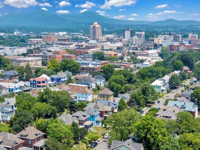 825 Day Ave SW, Roanoke, VA 24016 - view of urban area with mountains