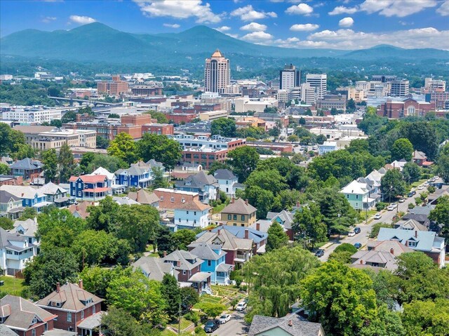 825 Day Ave SW, Roanoke, VA 24016 - view of urban area with a mountain backdrop