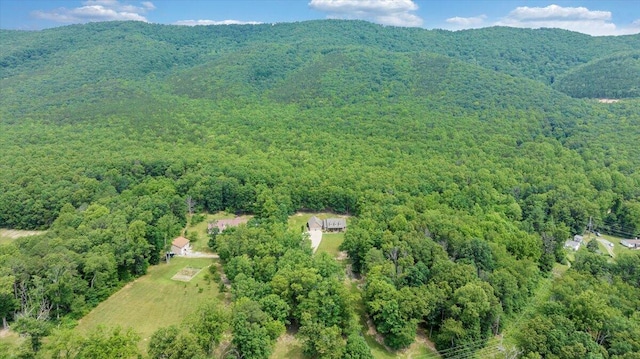 5335 Catawba Valley Dr, Catawba, VA 24070 - bird's eye view of a forest and a mountain backdrop