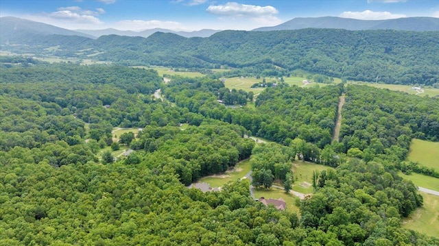5335 Catawba Valley Dr, Catawba, VA 24070 - aerial view of a forest and a mountain backdrop