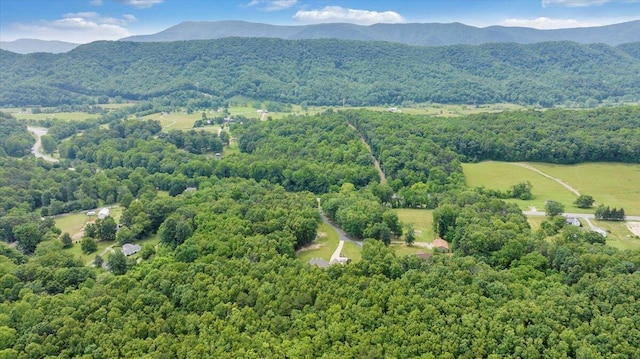 5335 Catawba Valley Dr, Catawba, VA 24070 - bird's eye view of a forest and a mountainous background