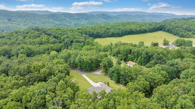 5335 Catawba Valley Dr, Catawba, VA 24070 - bird's eye view of a forest and a mountainous background