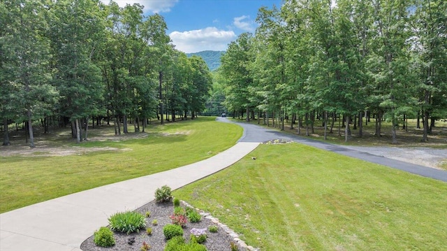 5335 Catawba Valley Dr, Catawba, VA 24070 - surrounding community featuring a yard and a mountain view