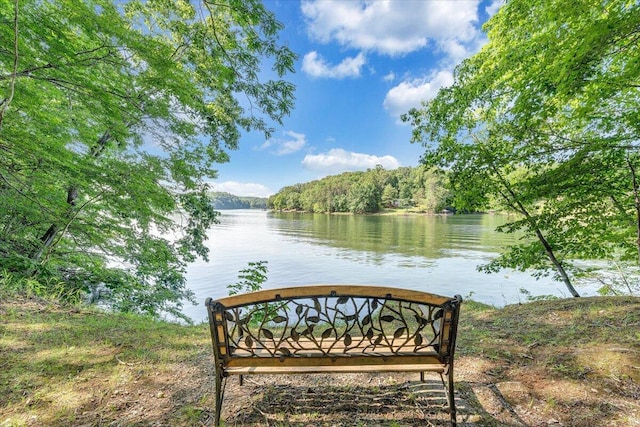 139 Lynville Dr, Hardy, VA 24101 - water view with a forest