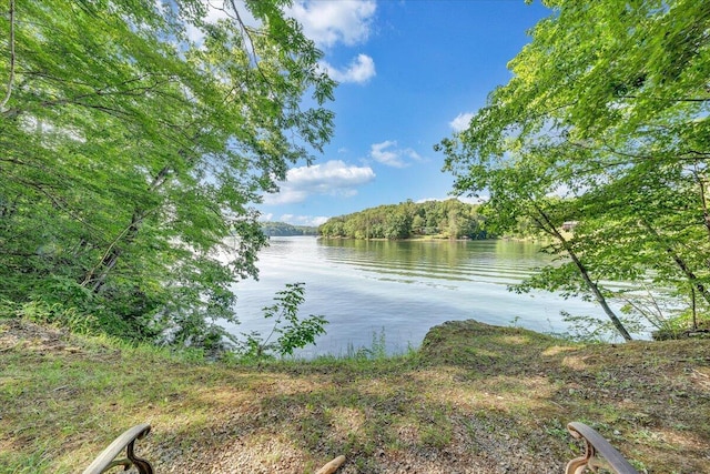 139 Lynville Dr, Hardy, VA 24101 - water view