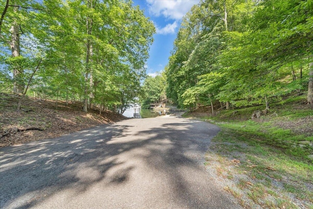 139 Lynville Dr, Hardy, VA 24101 - view of asphalt driveway