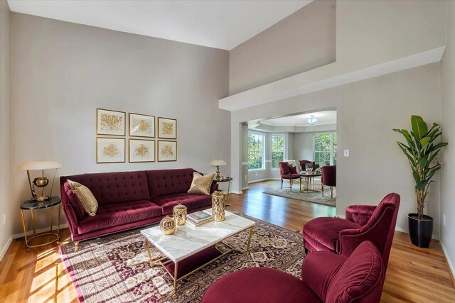 6061 Chagall Dr, Roanoke, VA 24018 - living area featuring wood finished floors and a high ceiling
