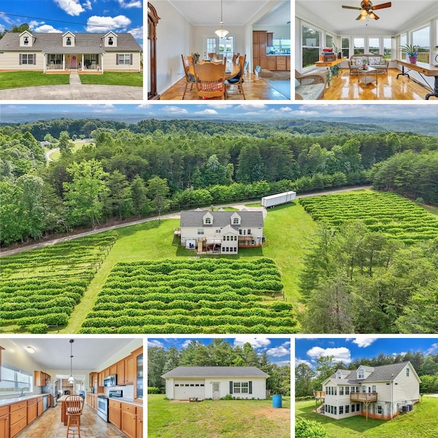 60 Tara Dr, Ridgeway, VA 24148 - view of a document with a collage of images