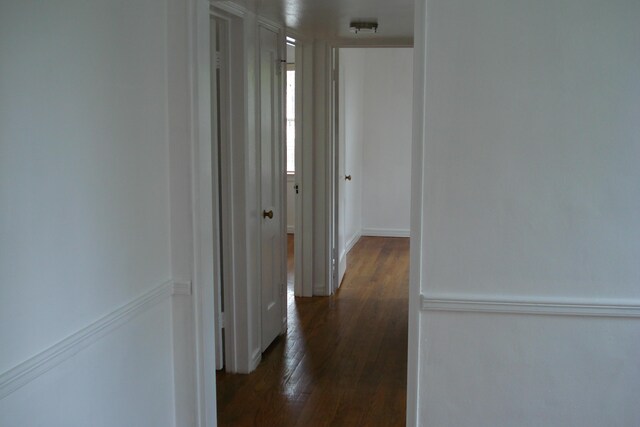 2419 Longview Ave SW Unit 15, Roanoke, VA 24014 - hallway featuring dark wood-style flooring and baseboards