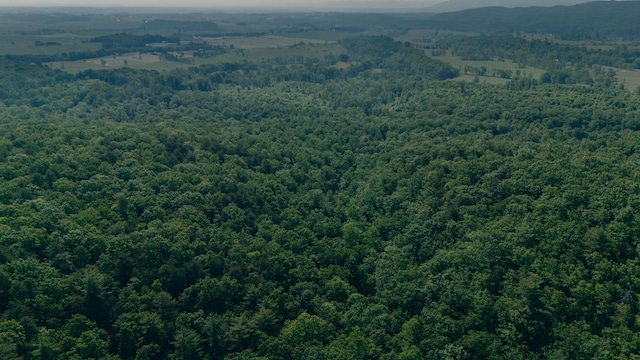 0 Robinson Tract Rd, Pulaski, VA 24301