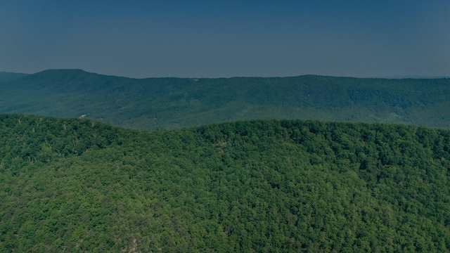 0 Robinson Tract Rd, Pulaski, VA 24301
