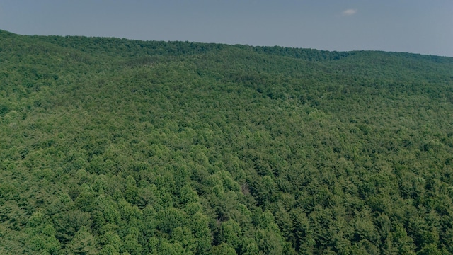 0 Robinson Tract Rd, Pulaski, VA 24301