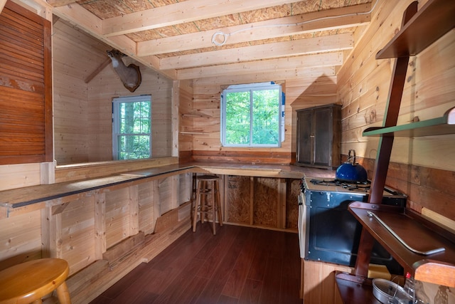 0 Robinson Tract Rd, Pulaski, VA 24301