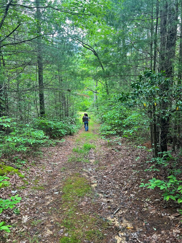 0 Robinson Tract Rd, Pulaski, VA 24301