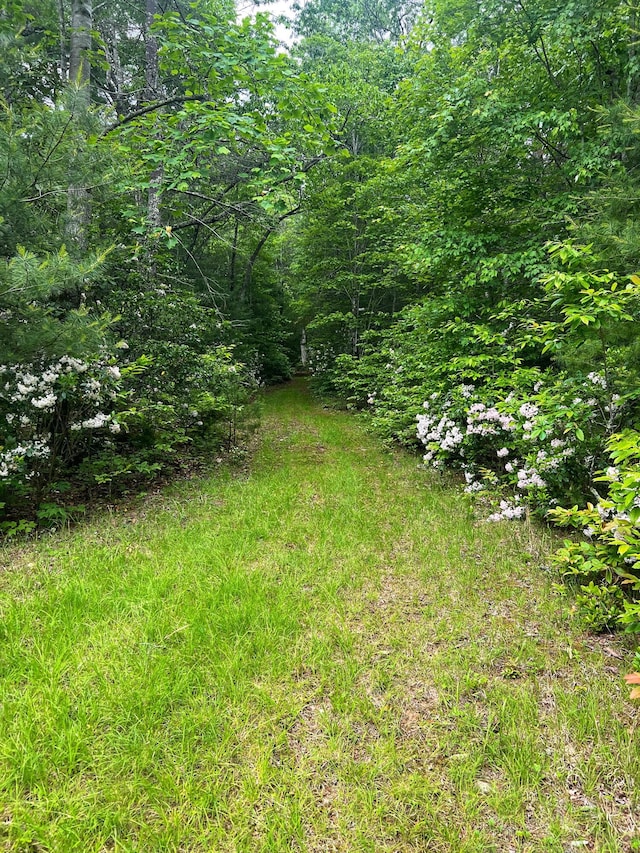 0 Robinson Tract Rd, Pulaski, VA 24301