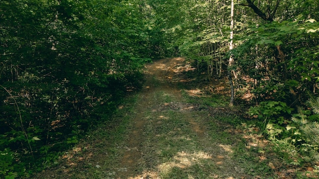 0 Robinson Tract Rd, Pulaski, VA 24301