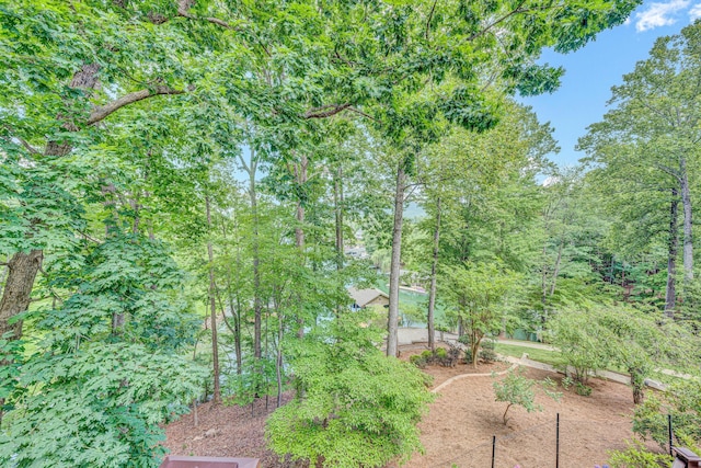 200 Fairway Dr, Penhook, VA 24137 - view of yard