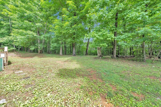 5995 Twine Hollow Rd, Salem, VA 24153 - view of yard with a wooded view