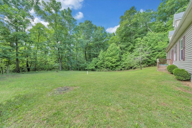 5995 Twine Hollow Rd, Salem, VA 24153 - view of green lawn