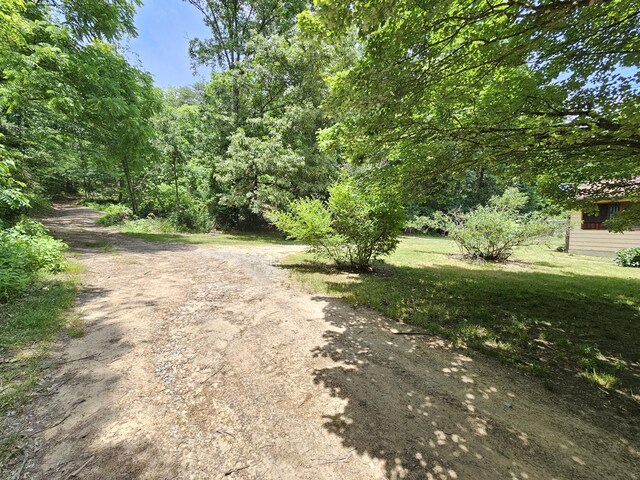 3 Pine Ln, New Castle, VA 24127 - view of dirt / gravel road