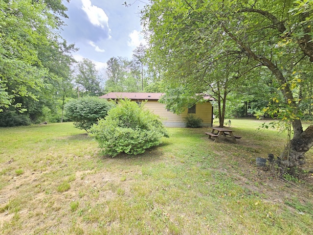 3 Pine Ln, New Castle, VA 24127 - view of green lawn