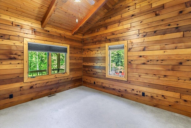 612 Peters Creek Dr, Stuart, VA 24171 - carpeted spare room with plenty of natural light, wooden ceiling, wood walls, and a sauna