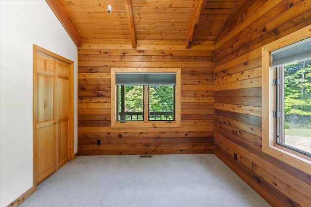 612 Peters Creek Dr, Stuart, VA 24171 - unfurnished room featuring wood ceiling, wood walls, and light carpet