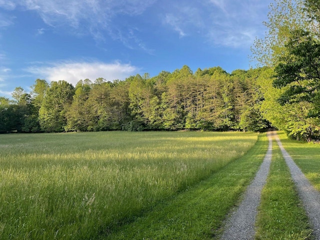612 Peters Creek Dr, Stuart, VA 24171 - view of yard featuring a forest view